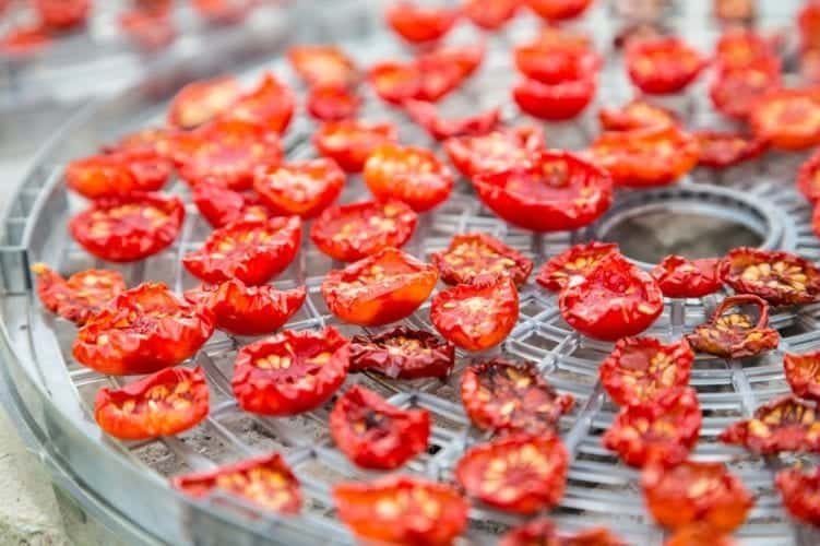 sun dried tomatoes on tray