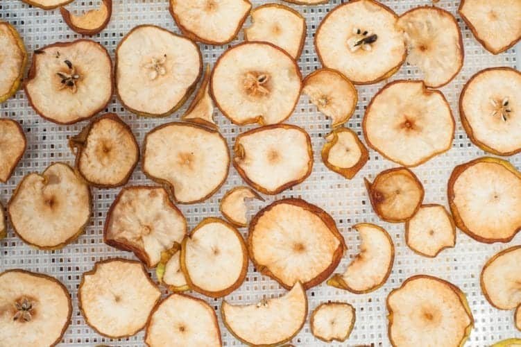 apple chips on plastic tray