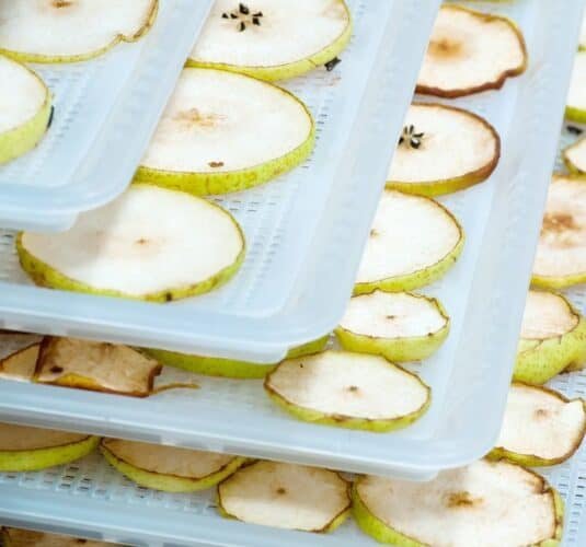sliced pears in trays ready to be dehydrated