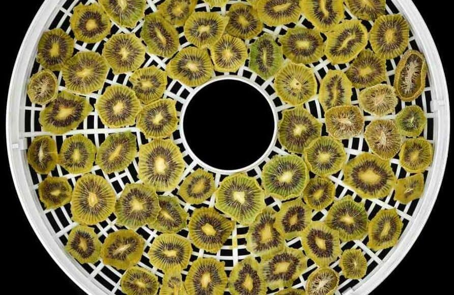 sliced dehydrated kiwis on top of circle tray with black background