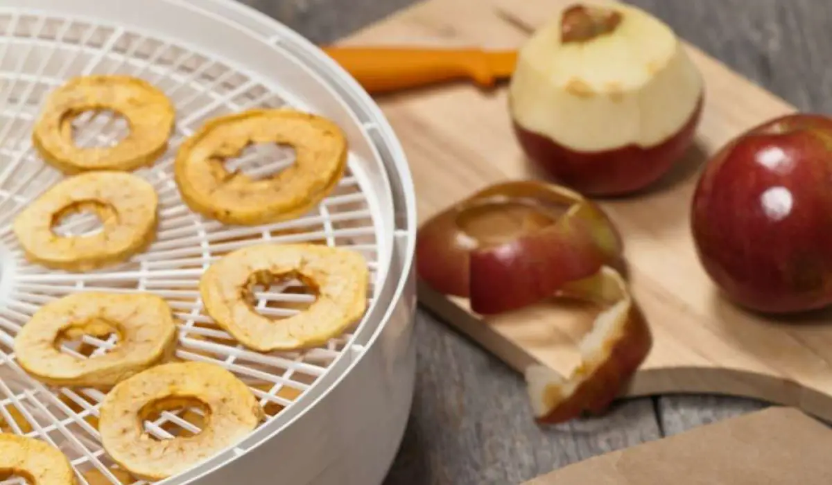 Nesco Jerky Xpress Dehydrator Kit Review
