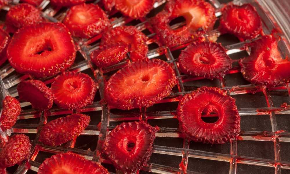 sliced dried strawberries on plastic dehydrator tray