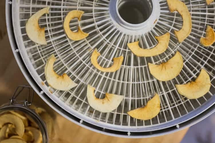 apple dehydrator