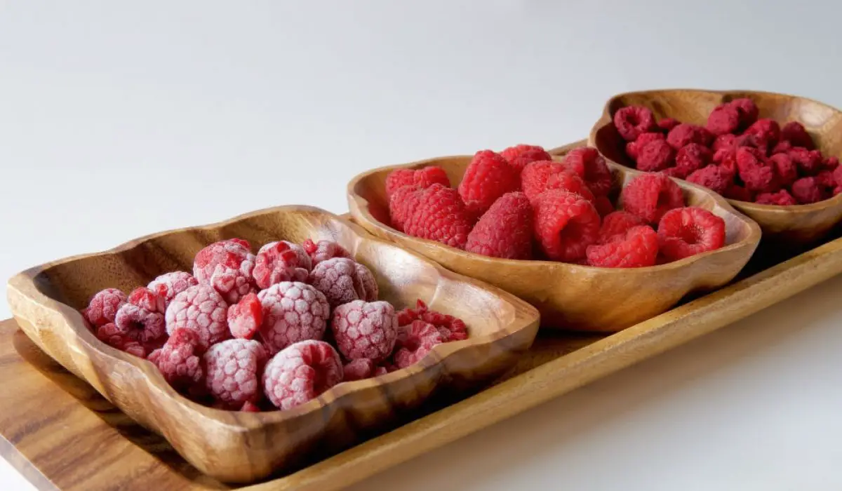 How Does a Food Dehydrator Work Put an End To Your Curiosity
