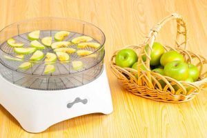 The Best Food Dehydrator Consumer Reports | Dehydrated Foodz