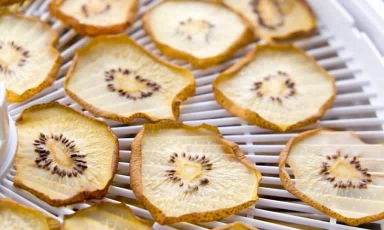 sliced dried kiwi on plastic tray