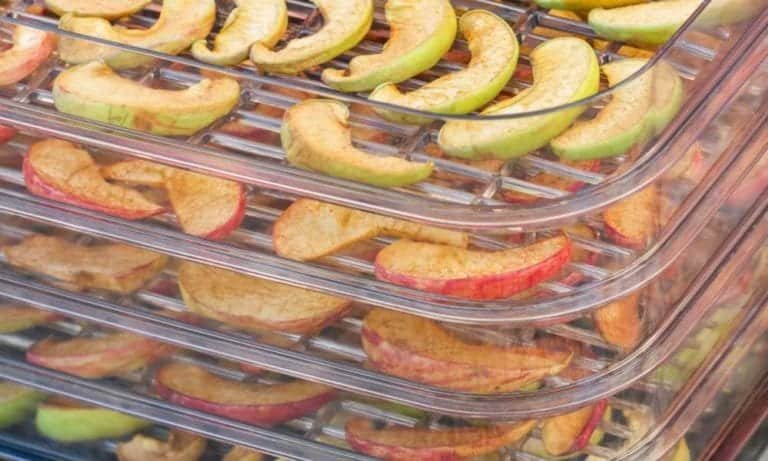 sliced red and green apples in transparent dehydrator stacked trays