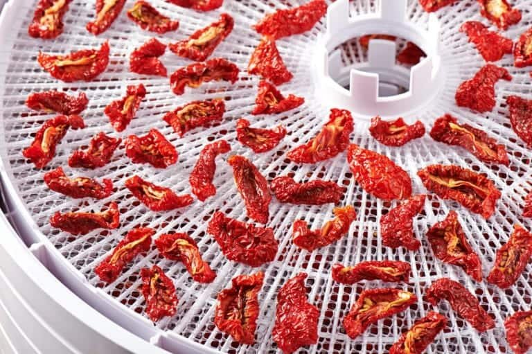 dried tomatoes on a plastic circle tray
