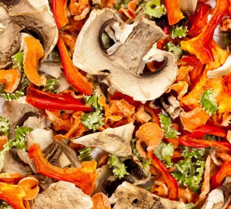 closeup of assortment of dehydrated foods