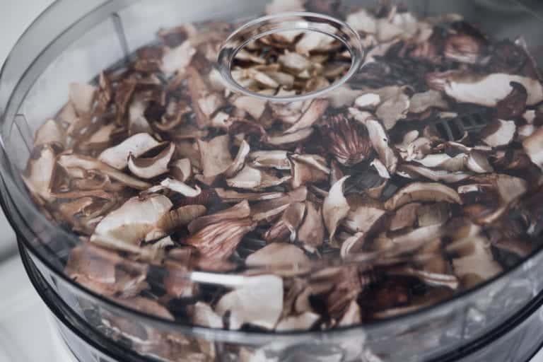 Digital food dehydrator drying mushrooms