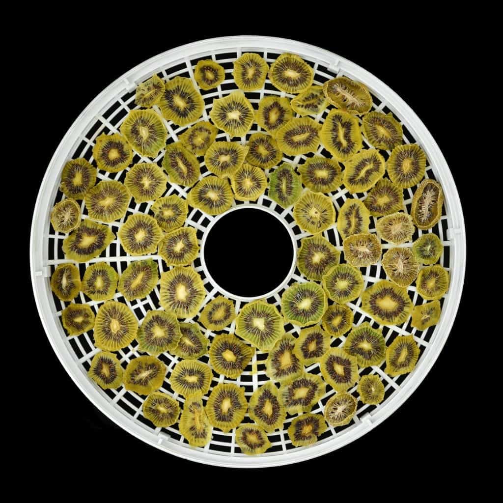 How to Use a Food Dehydrator: The Complete Beginner's Guide