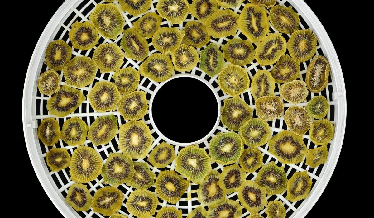 How to Use a Food Dehydrator The Complete Beginner’s Guide