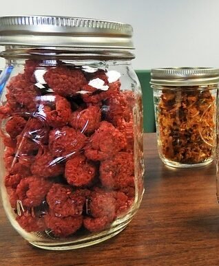 glass jars full of dehydrated oranges, rasberries, mushrooms