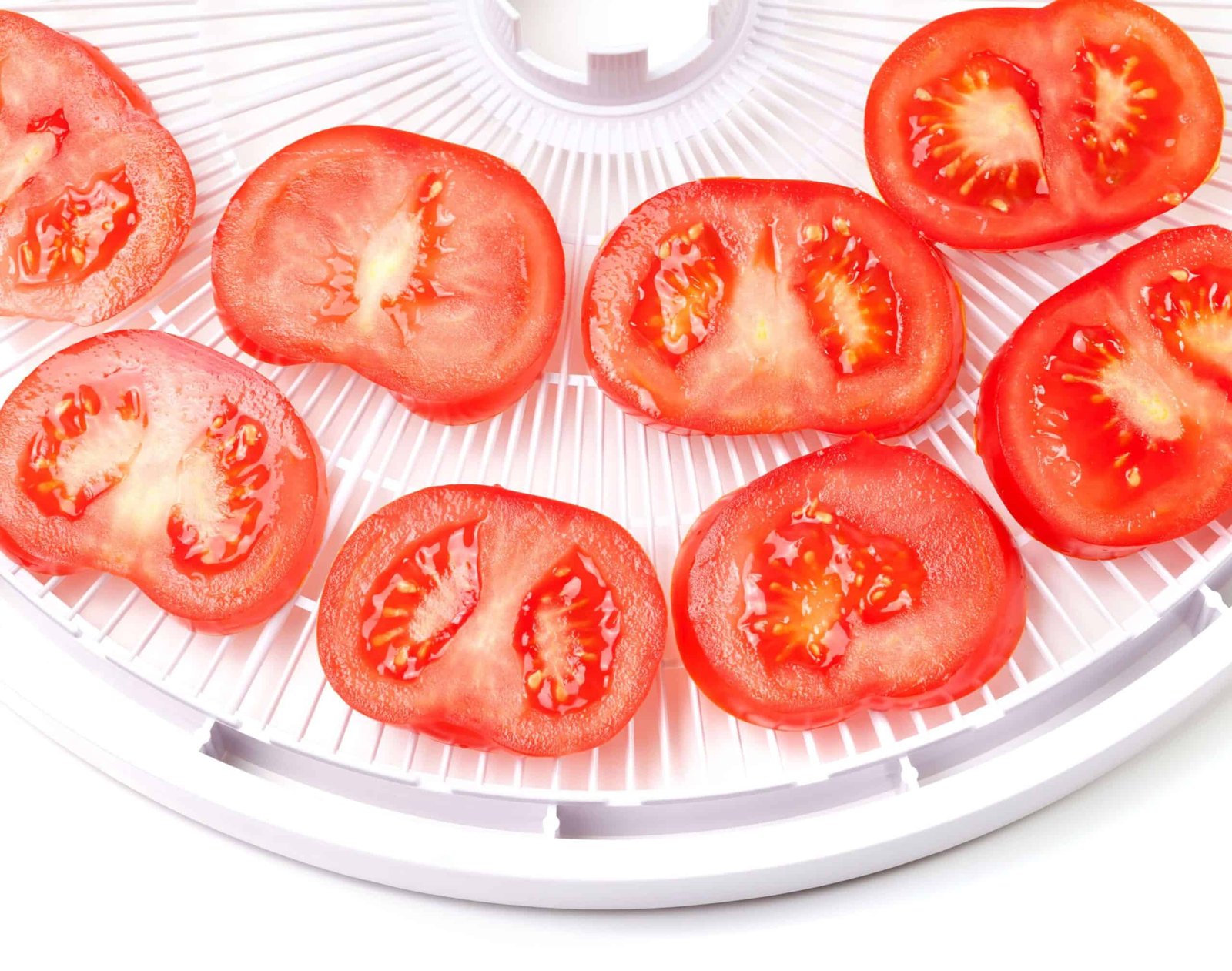tomatoes sliced on plastic dehydrator tray with white background
