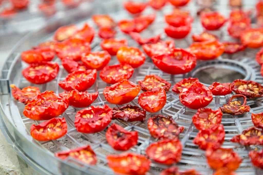 Dry Snacks on a Budget: This is the Best Inexpensive Food Dehydrator