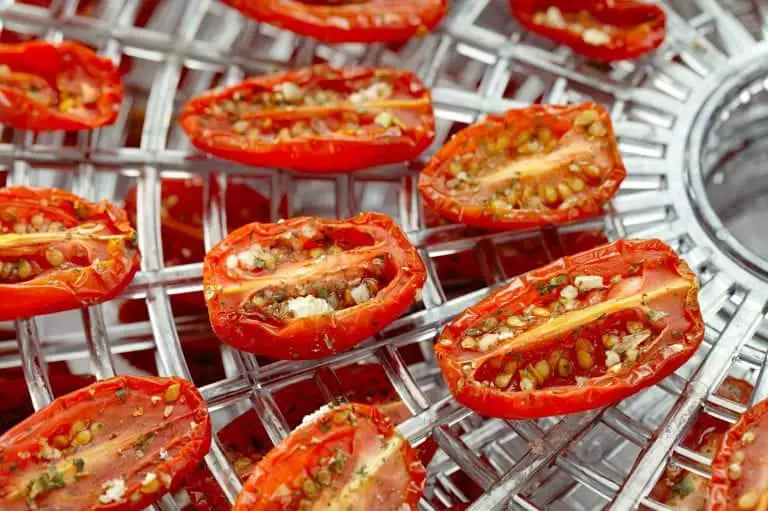 dehydrated tomatoes on dehydrator tray