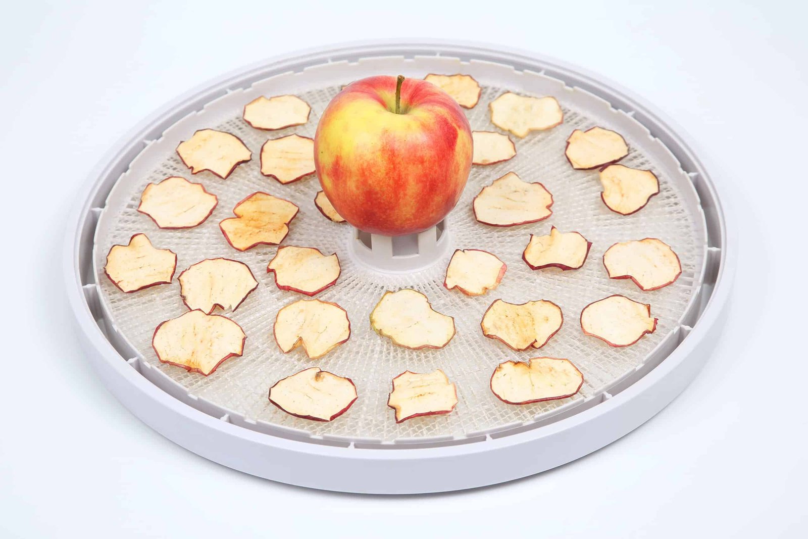 apple in the middle of circle dehydrator tray with dehydrated apple chips around the apple.