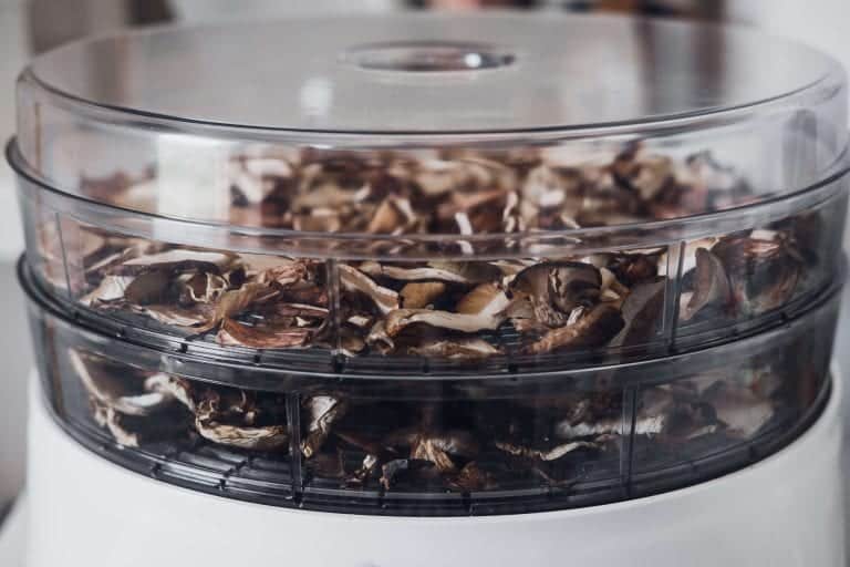 transparent food dehydrator finished dehydrating food