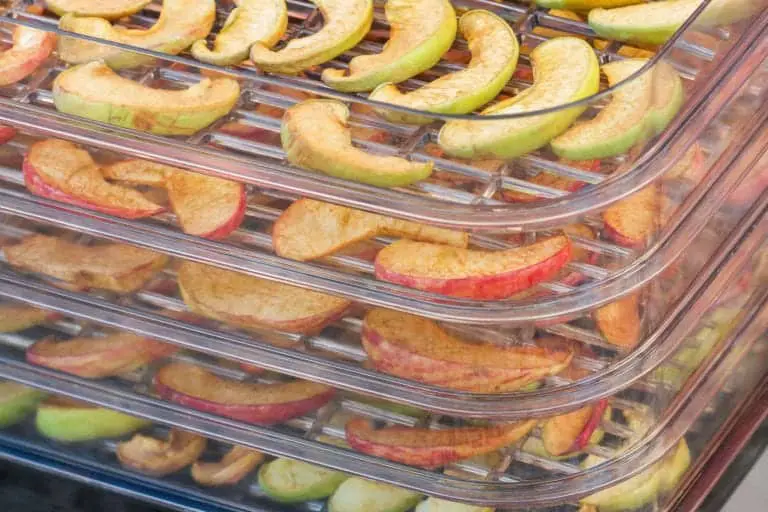 sliced finished dehydrated apples stacked in plastic trays