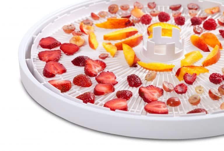 circle dehydrator tray with strawberries, peaches, grapes on it