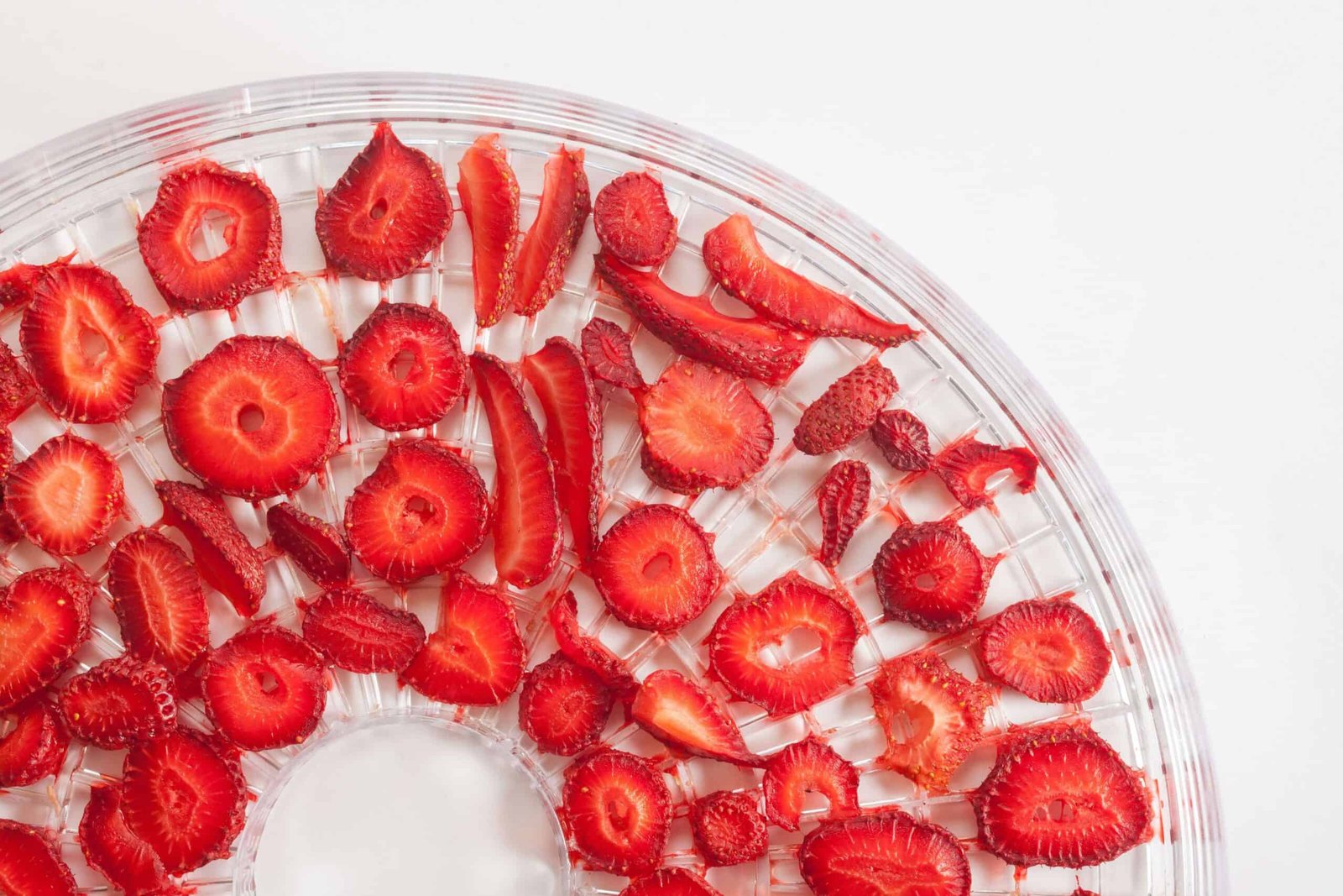 sliced strawberries on circle plastic dehydrator tray