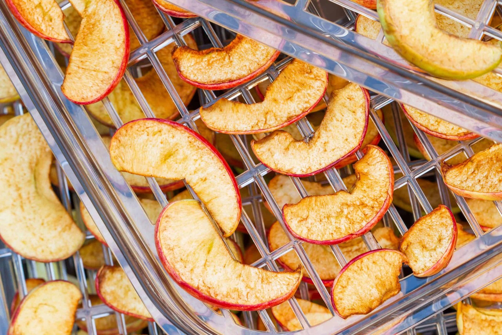 sliced red apples finished dehydrating