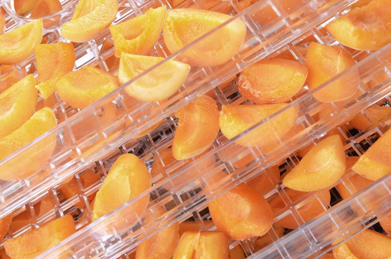 sliced peaches on plastic trays ready to be dehydrated