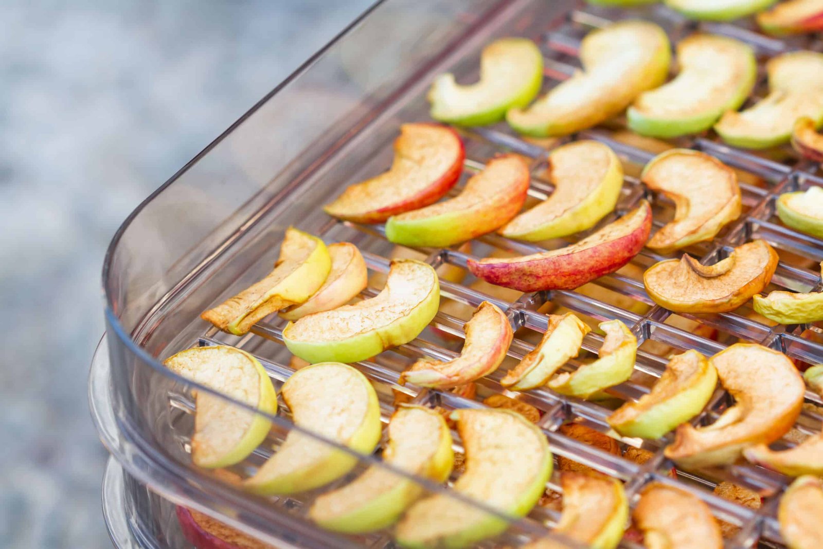 sliced red and green apples lined in dehydrator plastic tray