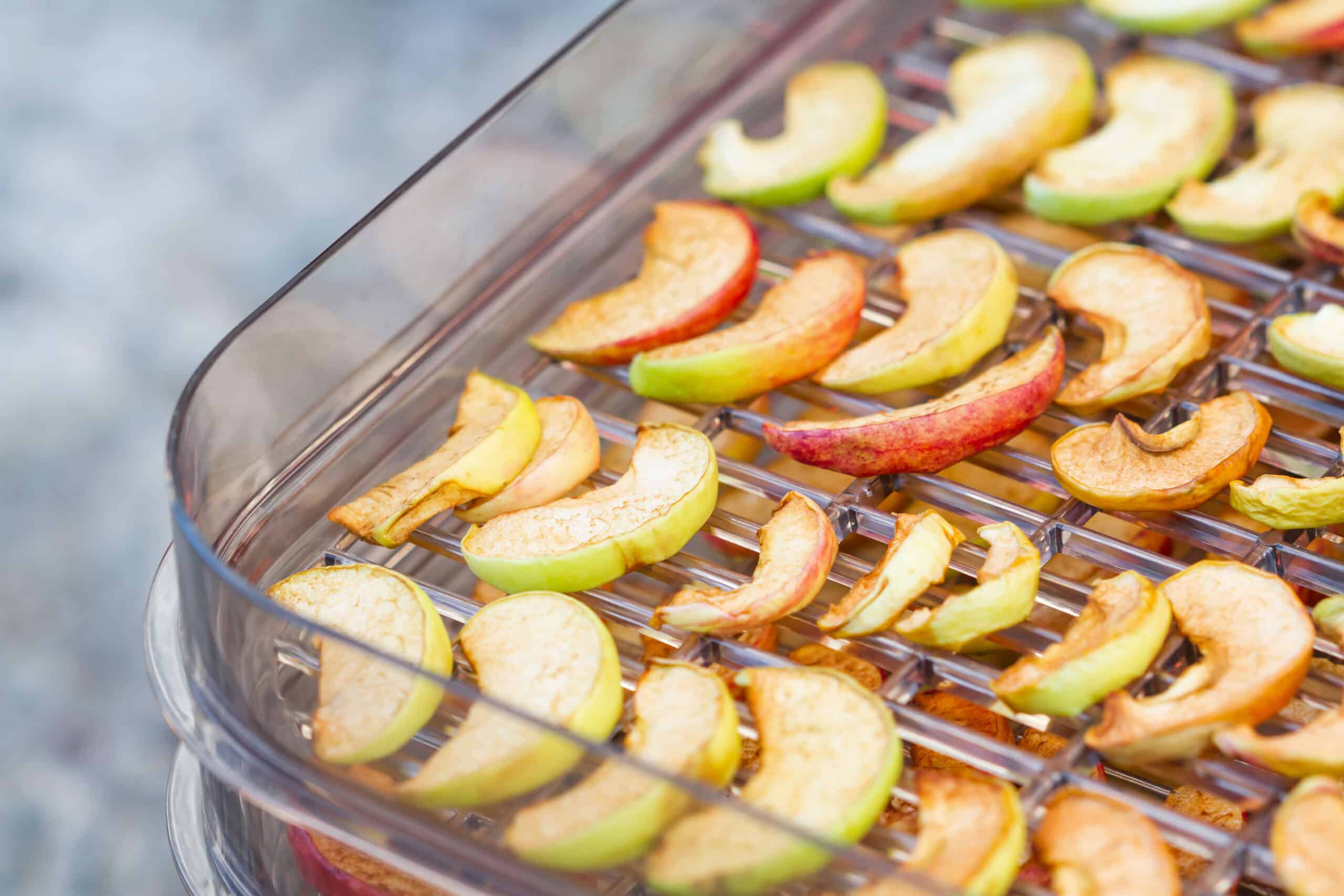 sliced red and green apples lined in dehydrator plastic tray