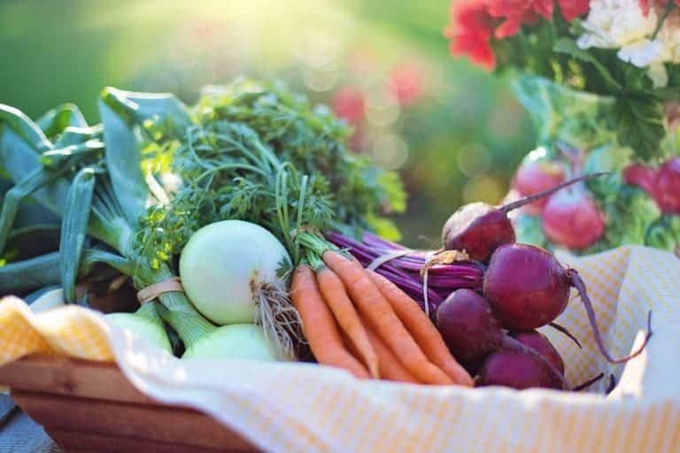 carrots, beetroots and onions in a wooden basket outdoors