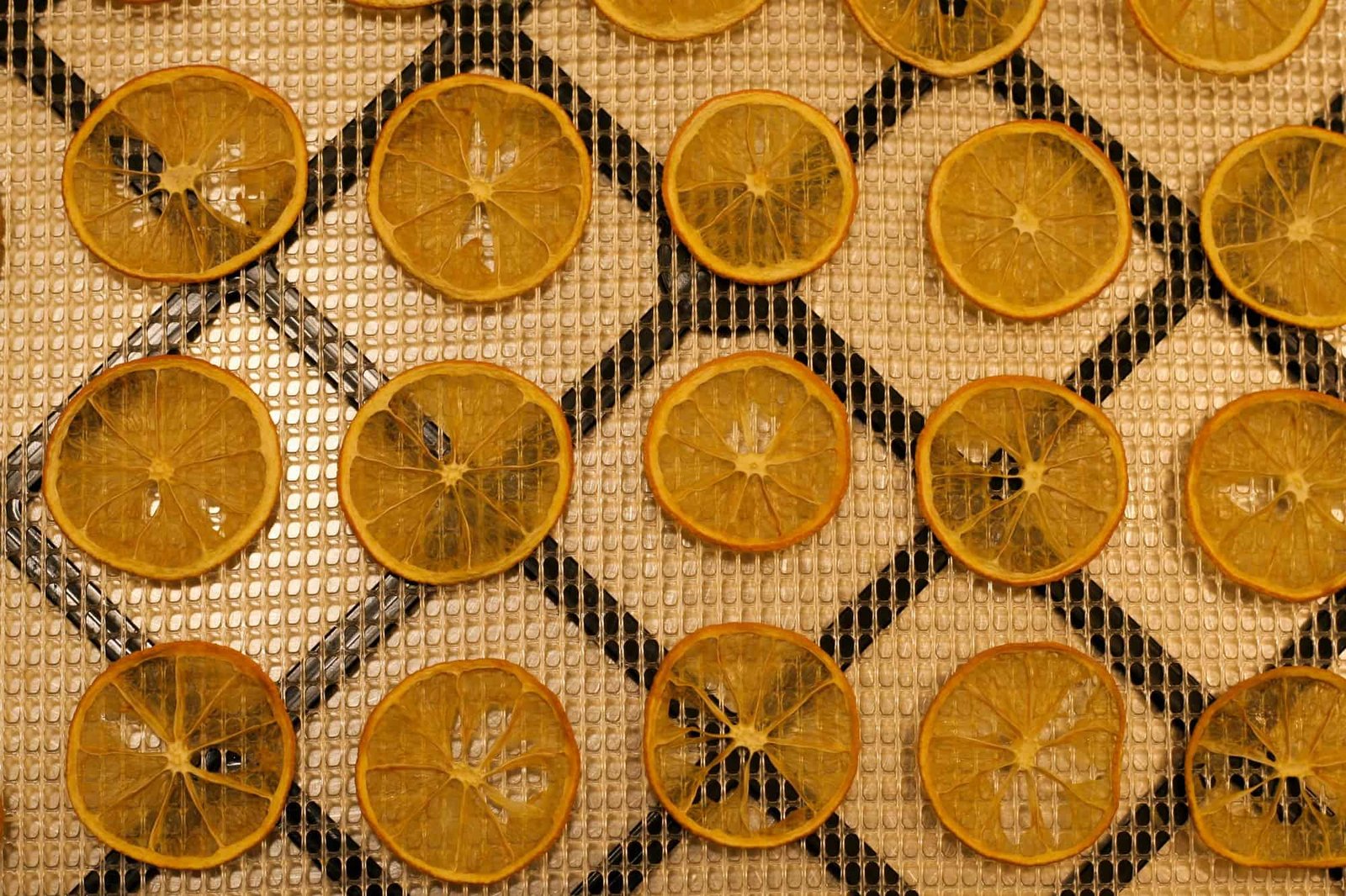 Slices of lemon that have been dehydrated.
