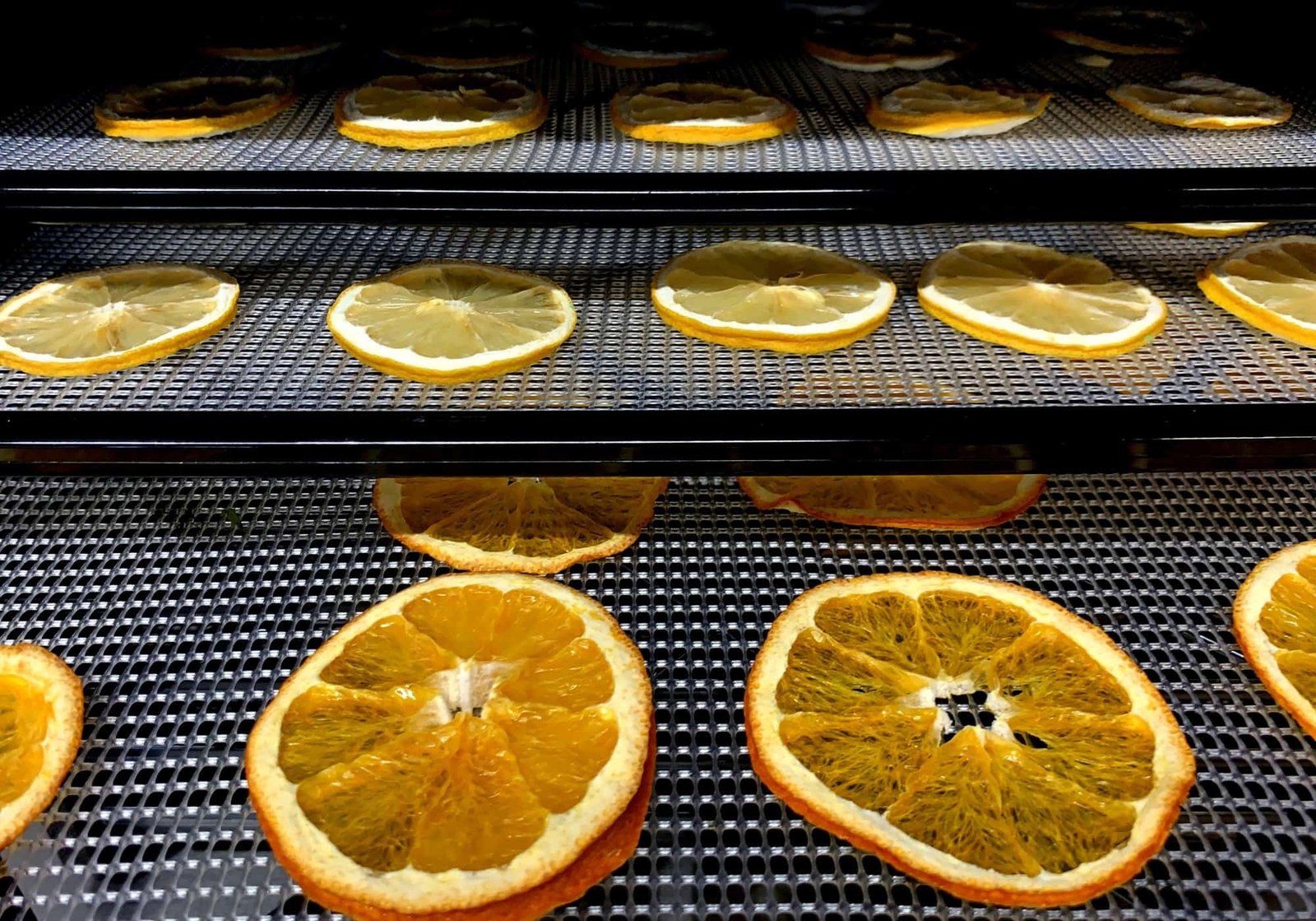 oranges sliced and placed on three dehydrator trays