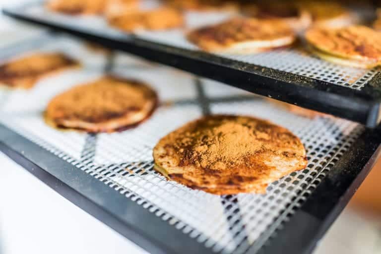 Dehydrator sheets with apple slices and cinnamon