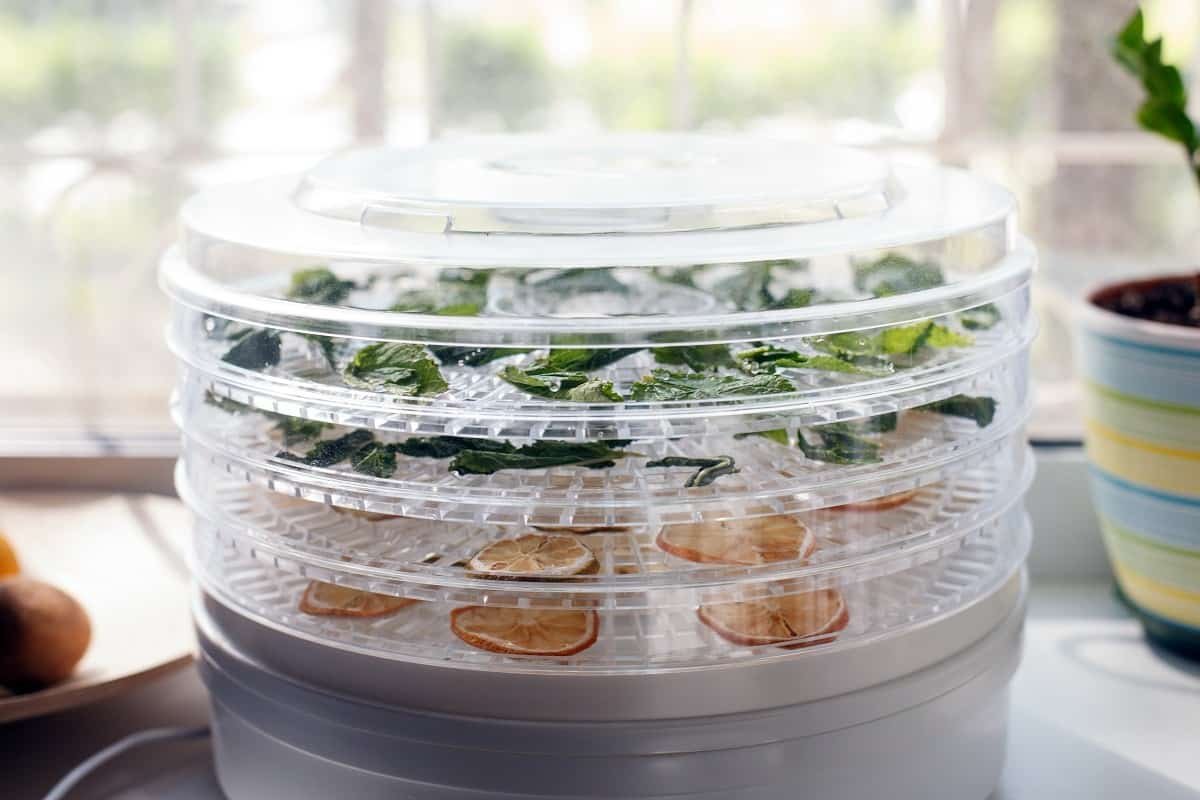 Fresh dryed citrus chips and leaves of mint prepared in a home fruit and vegetable dryer.