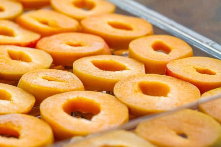 sliced peaches in dehydrator tray