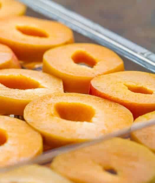 sliced peaches in dehydrator tray