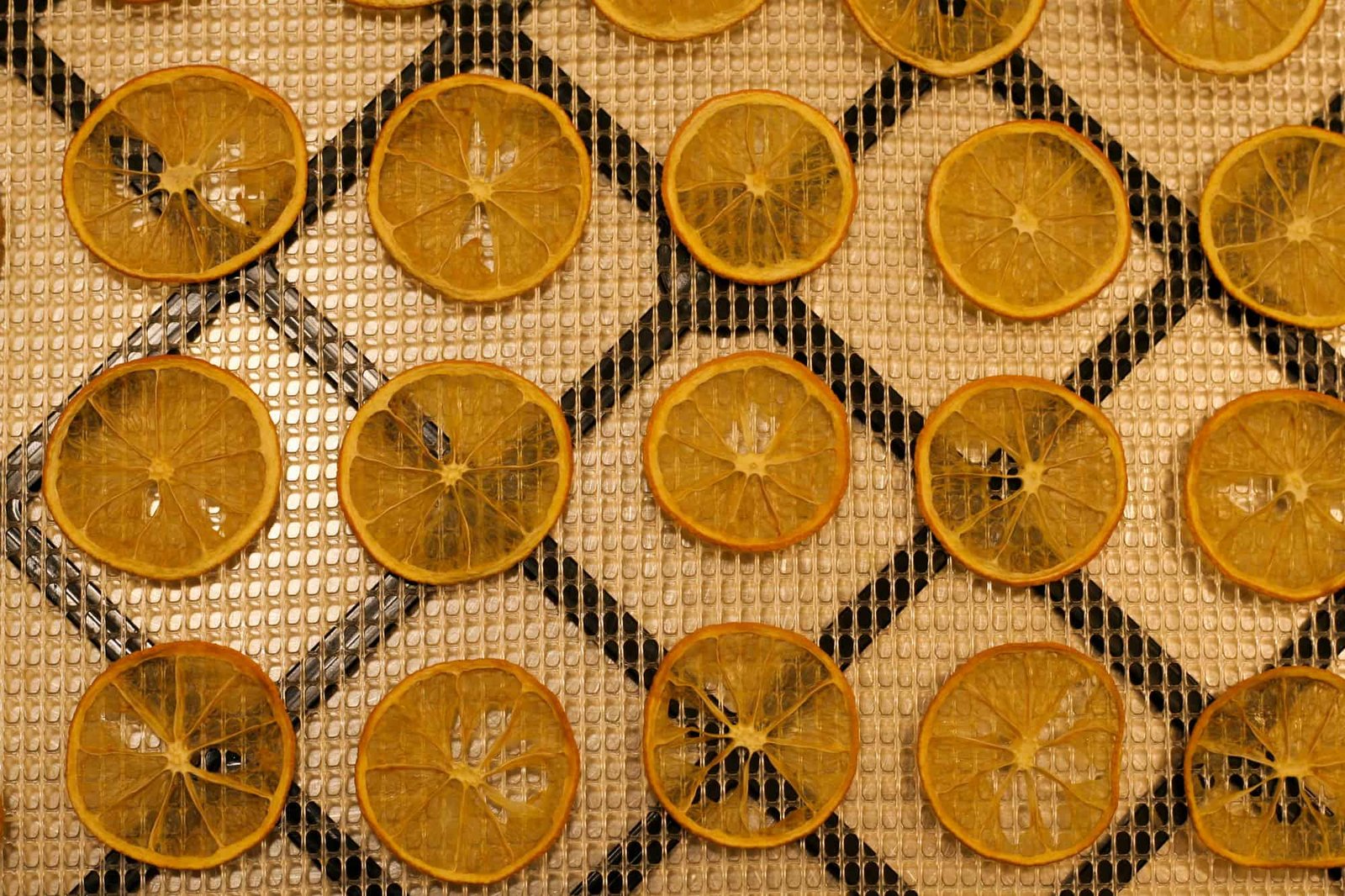 orange slices on dehydrator tray
