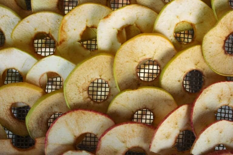 sliced fruit with holes in middle on dehydrator tray