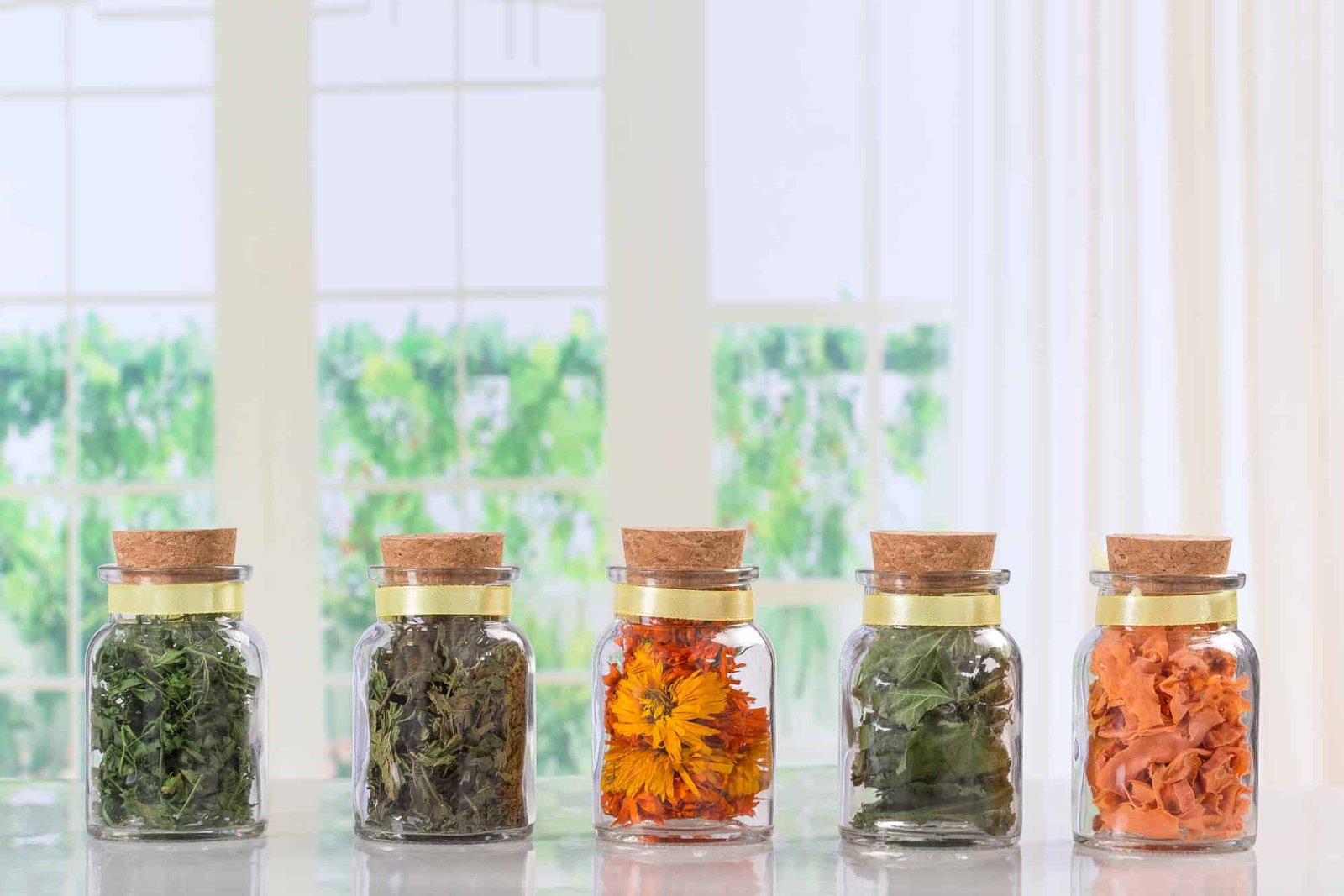 herbs and plants in jars