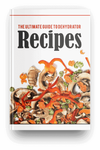 eBook dehydrator recipes PDF