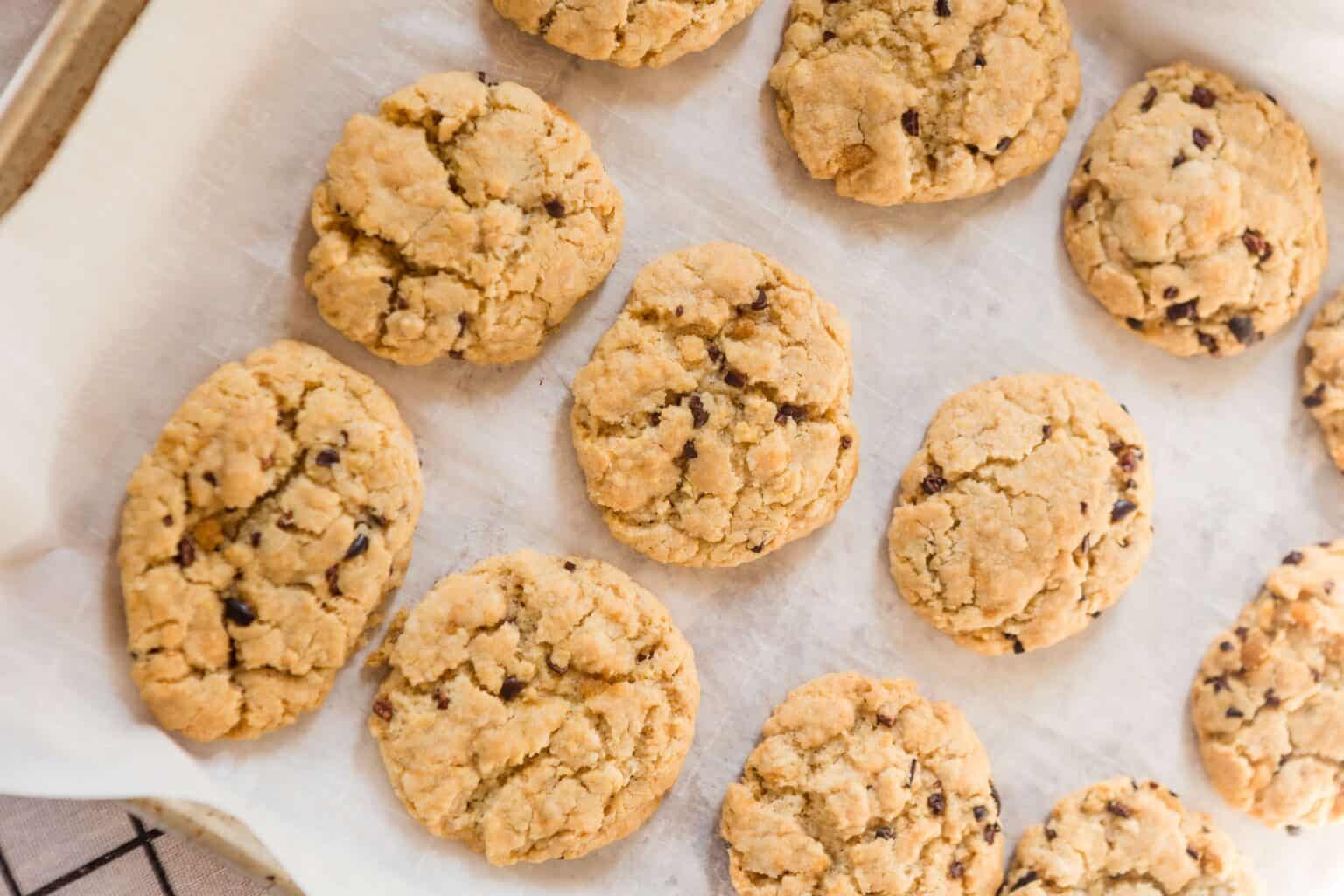 Can You Use Parchment Paper in a Dehydrator?