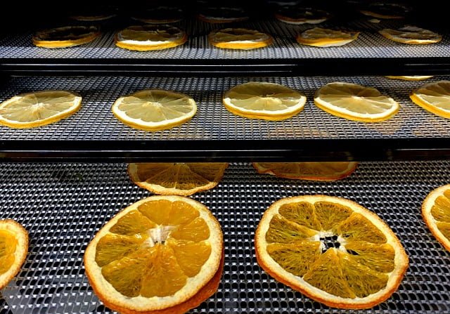 dehydrator trays, dehydrated fruit, orange sliced on dehydrator trays