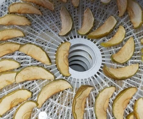 sliced green apples on round food dehydrator tray