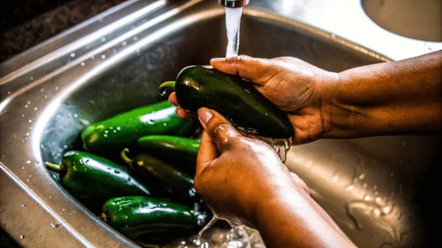 A step-by-step visual of jalapenos being washed under running water in a kitchen sink, with hands carefully cleaning them.