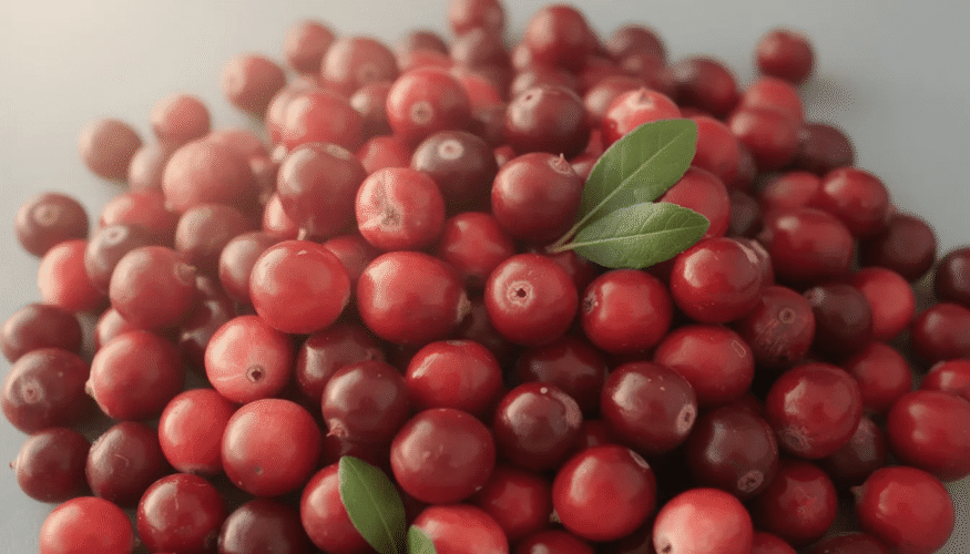 The image showcases a vibrant assortment of fresh cranberries, some whole and others dried, highlighting their tart and sweet flavor. In the background, there are jars filled with dried cranberries, emphasizing their use in delicious recipes and as a nutritious addition to salads and baked goods.