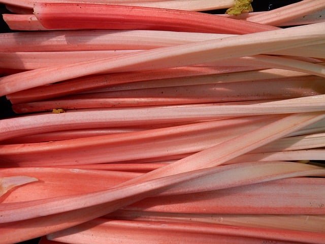 Red rhubarb stems lined horizontally.