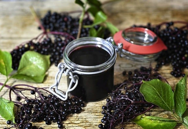 mason jar iwith elderberry sauce in it surrounded by elderberries on branches