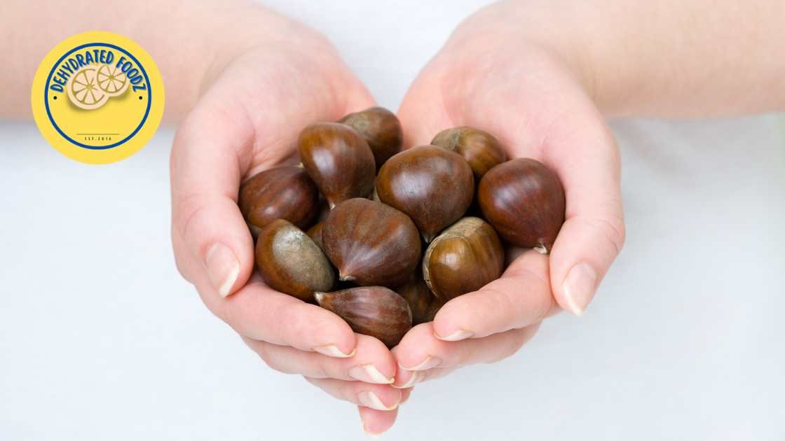 handful of sweet chestnuts in womans hands