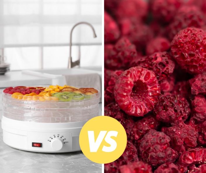 image of a food dehydrator on the left and freeze dried raspberries on the right