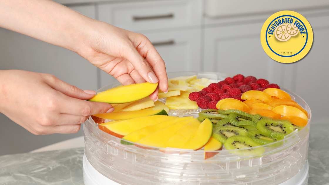 sliced mango, apples, oranges, kiwi on a food dehydrator trays